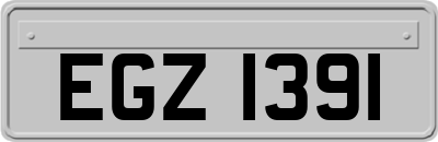 EGZ1391