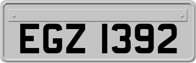 EGZ1392