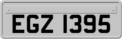 EGZ1395
