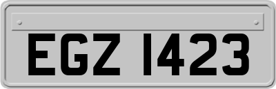 EGZ1423