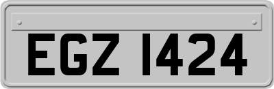 EGZ1424