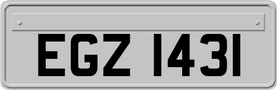 EGZ1431