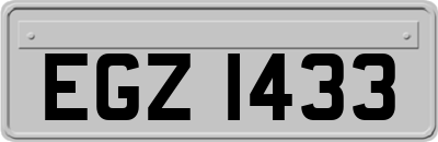 EGZ1433