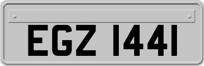 EGZ1441