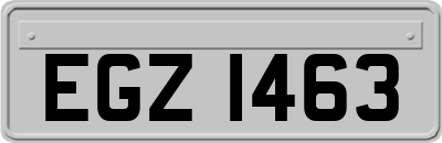EGZ1463