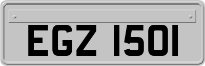EGZ1501