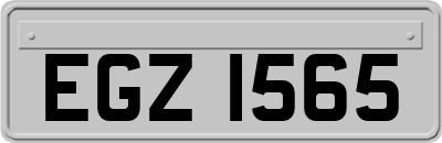 EGZ1565