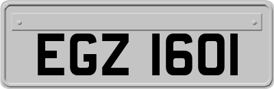 EGZ1601