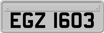 EGZ1603