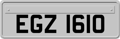 EGZ1610