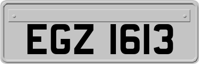EGZ1613