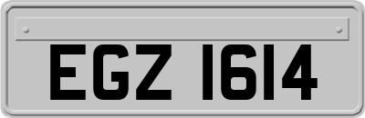 EGZ1614