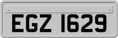 EGZ1629