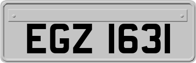 EGZ1631
