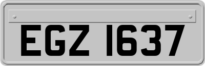 EGZ1637