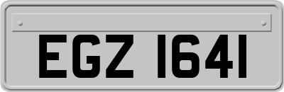 EGZ1641