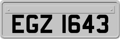 EGZ1643