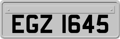 EGZ1645