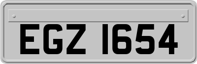 EGZ1654