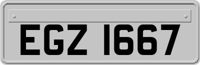 EGZ1667