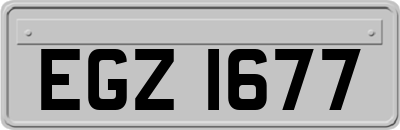 EGZ1677