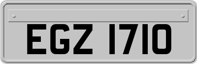 EGZ1710