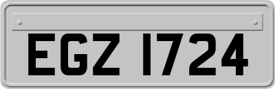 EGZ1724