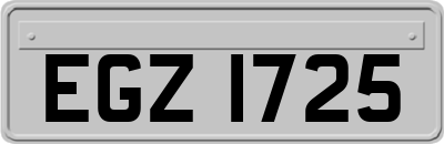 EGZ1725