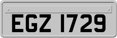 EGZ1729