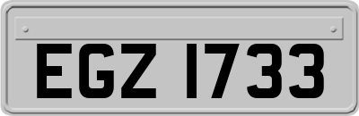 EGZ1733