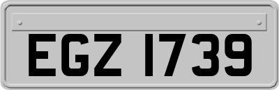 EGZ1739