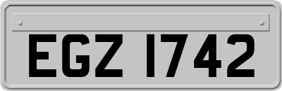 EGZ1742