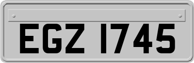EGZ1745