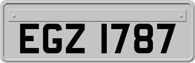 EGZ1787