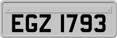 EGZ1793