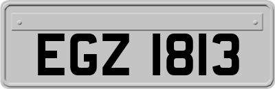 EGZ1813