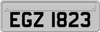 EGZ1823