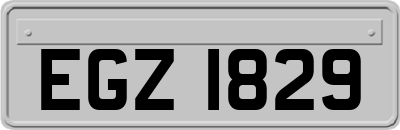 EGZ1829