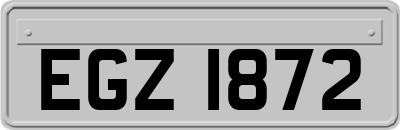 EGZ1872