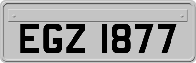 EGZ1877