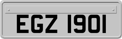 EGZ1901