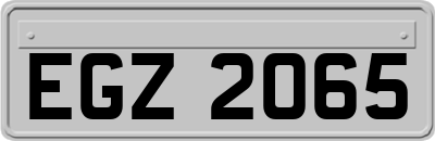 EGZ2065