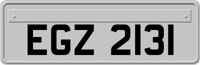 EGZ2131