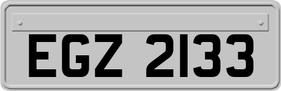EGZ2133