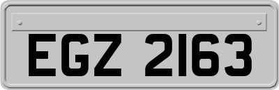 EGZ2163