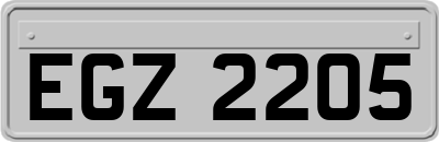 EGZ2205