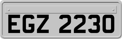 EGZ2230