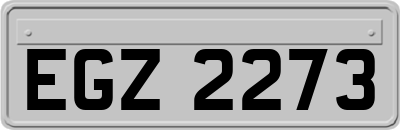 EGZ2273