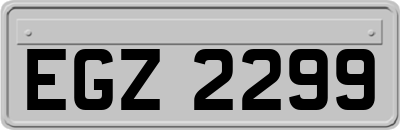 EGZ2299