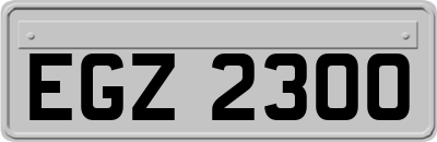 EGZ2300